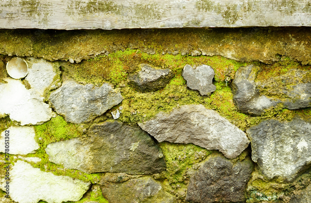 Stone wall with green moss background Stone wall with green moss background