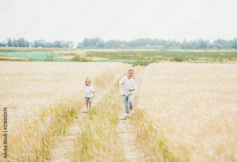 Brother and cute sister running in the wheat field in sunny day