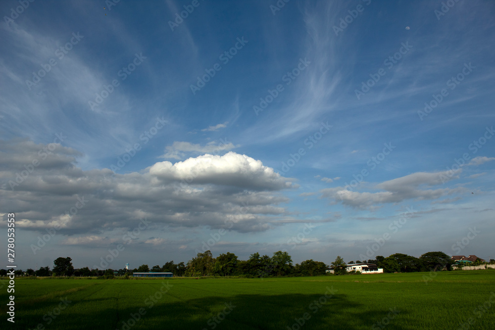 green field and blue sky green field and blue sky