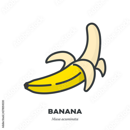 Banana fruit icon, outline with color fill style vector illustration, half peeled