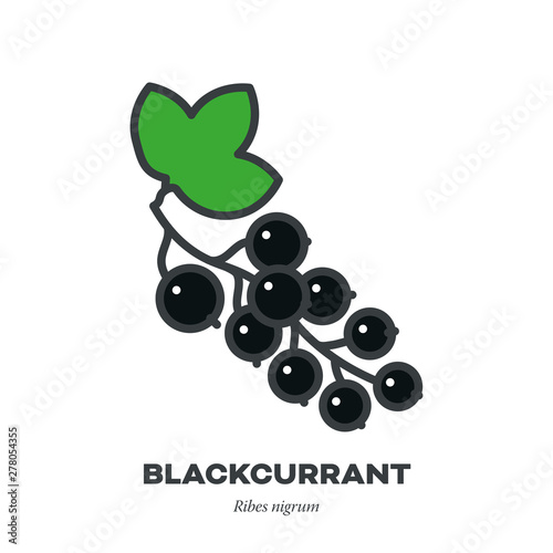 Blackcurrant icon, filled outline style vector