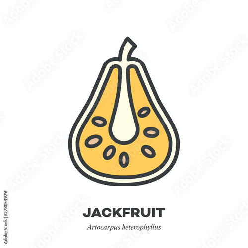 Jackfruit icon, filled outline style vector