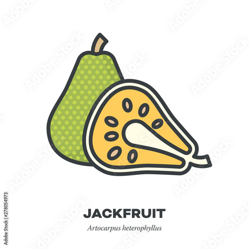 Jackfruit icon, filled outline style vector