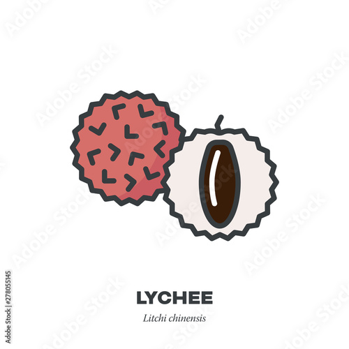 Lychee fruit icon, filled outline style vector