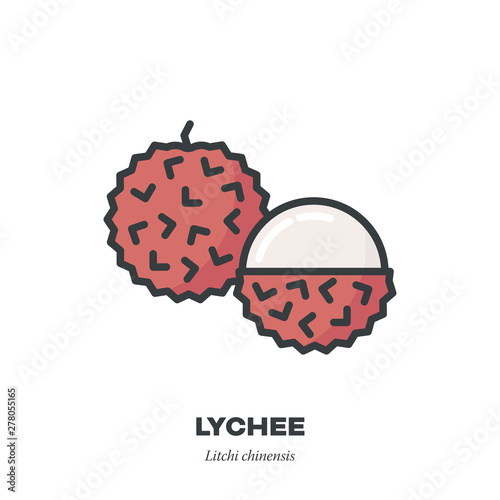 Lychee fruit icon, filled outline style vector