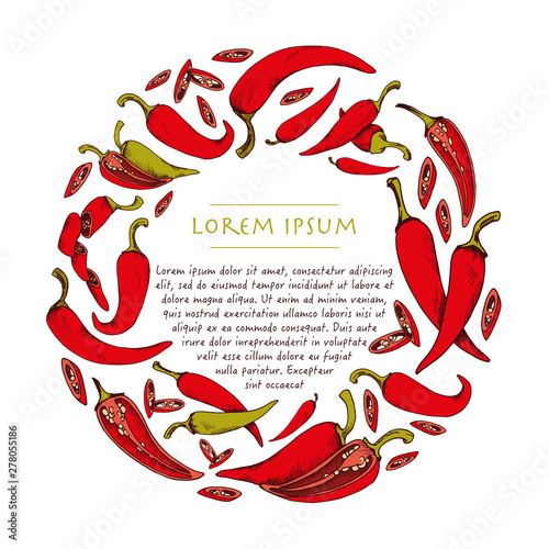Vector wreath with chili peppers vegetable hand drawn circle background with food