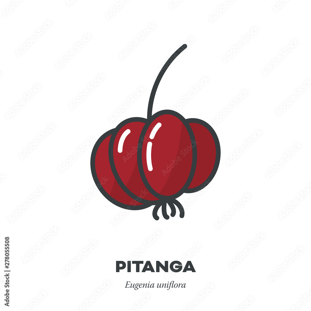 Obraz premium Pitanga fruit icon, filled outline style vector