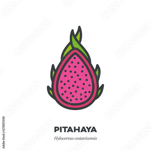 Pitahaya fruit icon, filled outline style vector
