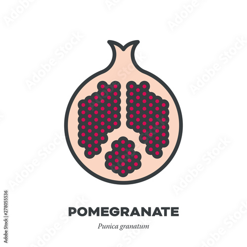 Pomegranate fruit icon, filled outline style vector