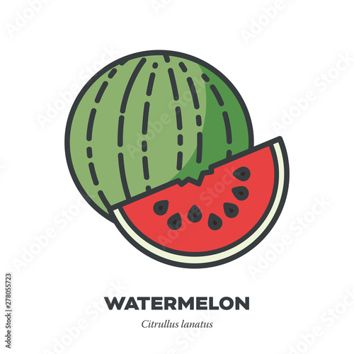 Watermelon fruit icon, filled outline style vector
