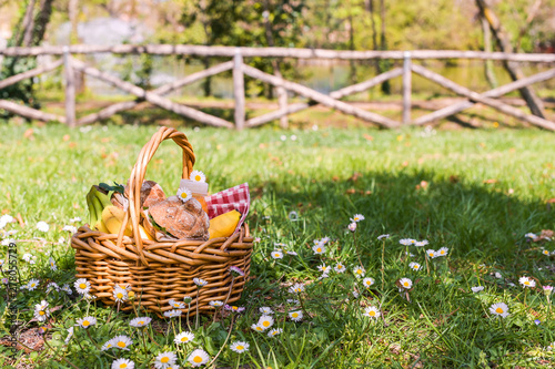 Lunch in the park on the green grass. Summer sunny day and picnic basket. Copy space.