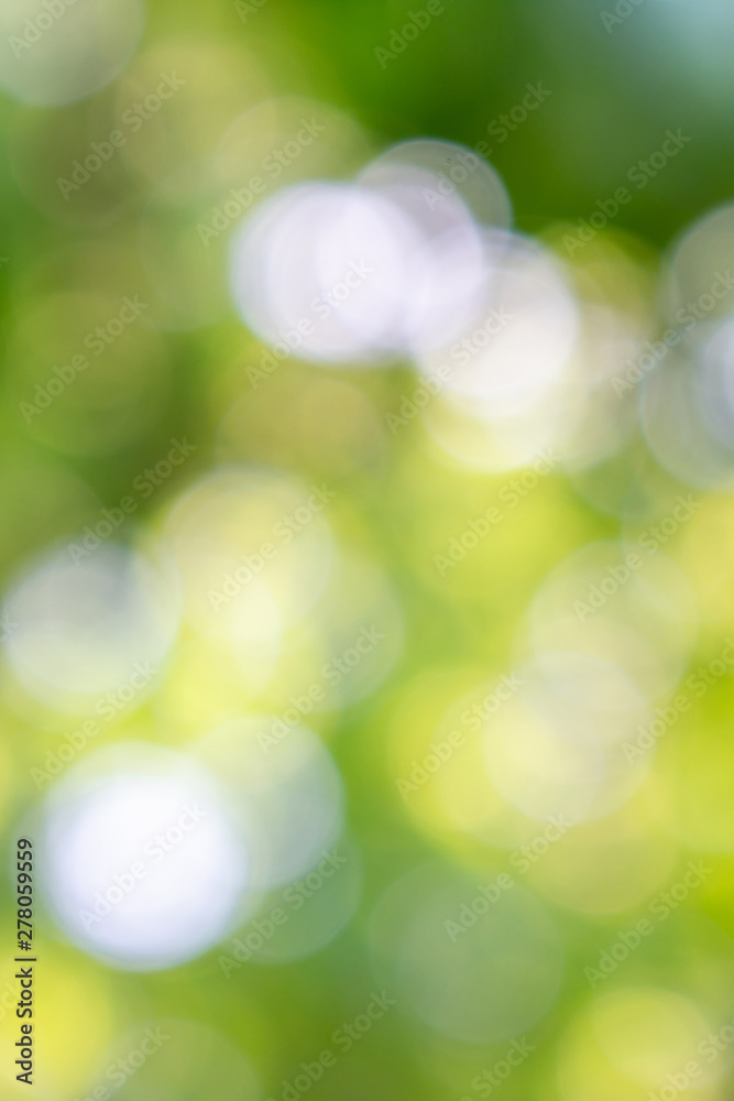 green and yellow summer bokeh green and yellow summer bokeh