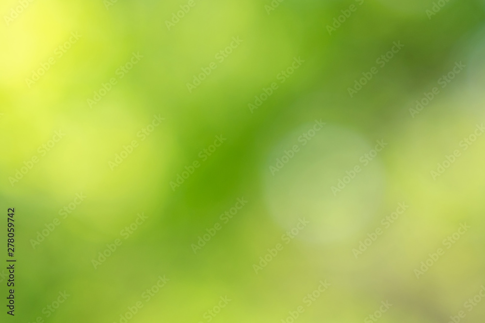 green and yellow summer bokeh green and yellow summer bokeh