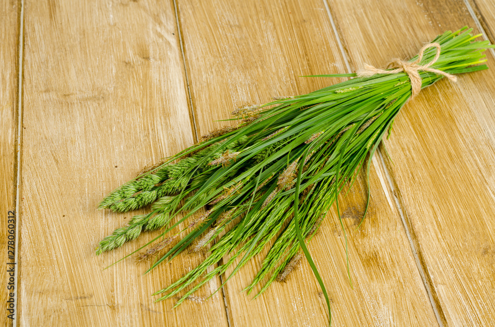 Bunch of wild herbs on bright background. Bunch of wild herbs on bright background.