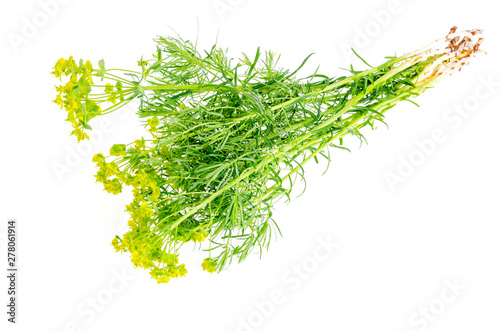 Medicinal plants, herbs isolated on white background.