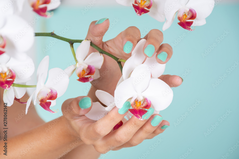 Female hand with a turquoise color manicure on nails and white orchids flower isolated on soft blue background in studio. Manicure and beauty concept. Close up, selective focus
