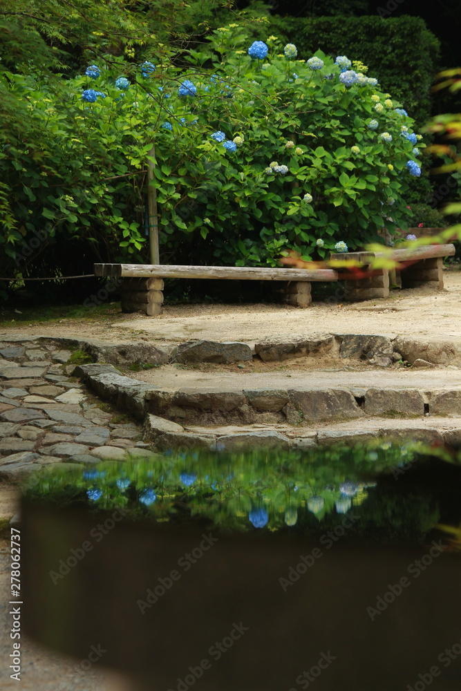 紫陽花が咲く風景 紫陽花が咲く風景