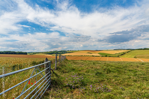 A South Downs farm landscape in Sussex, on a sunny summers day