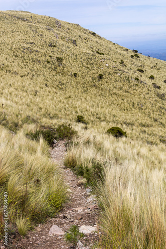 Camino por el Cerro Unitorco