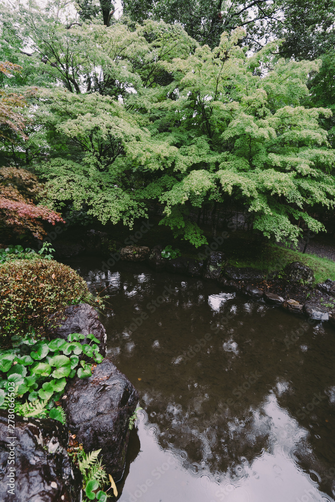 ◉Landscape of Nagaoka Tenmangu◉ ◉Landscape of Nagaoka Tenmangu◉