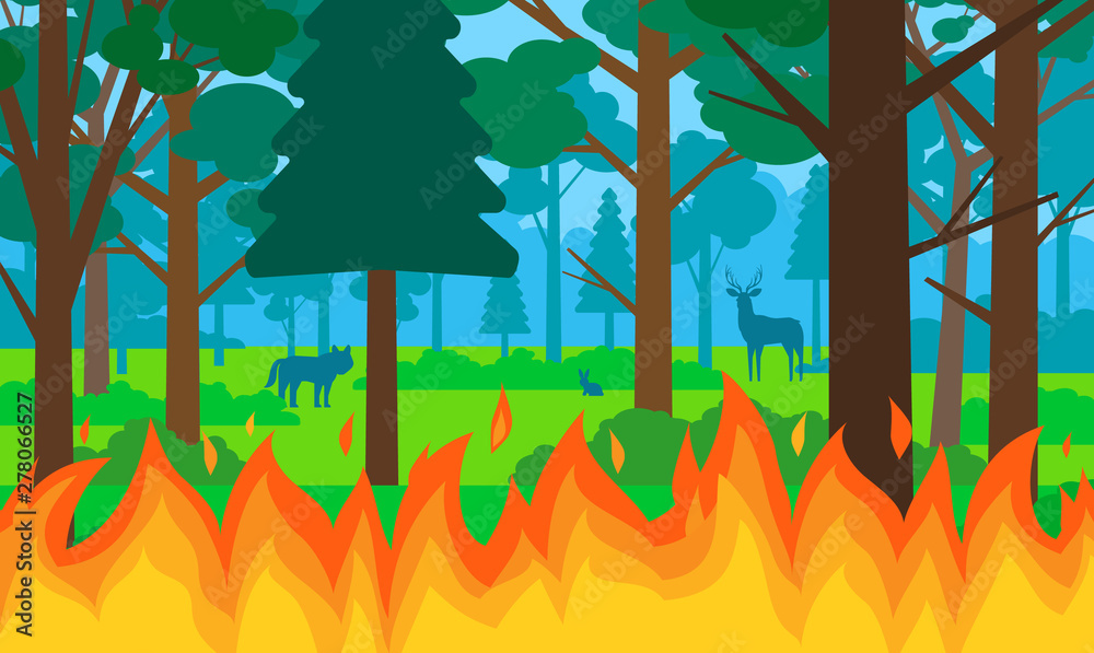 Fototapeta forest in fire burning flame among trees