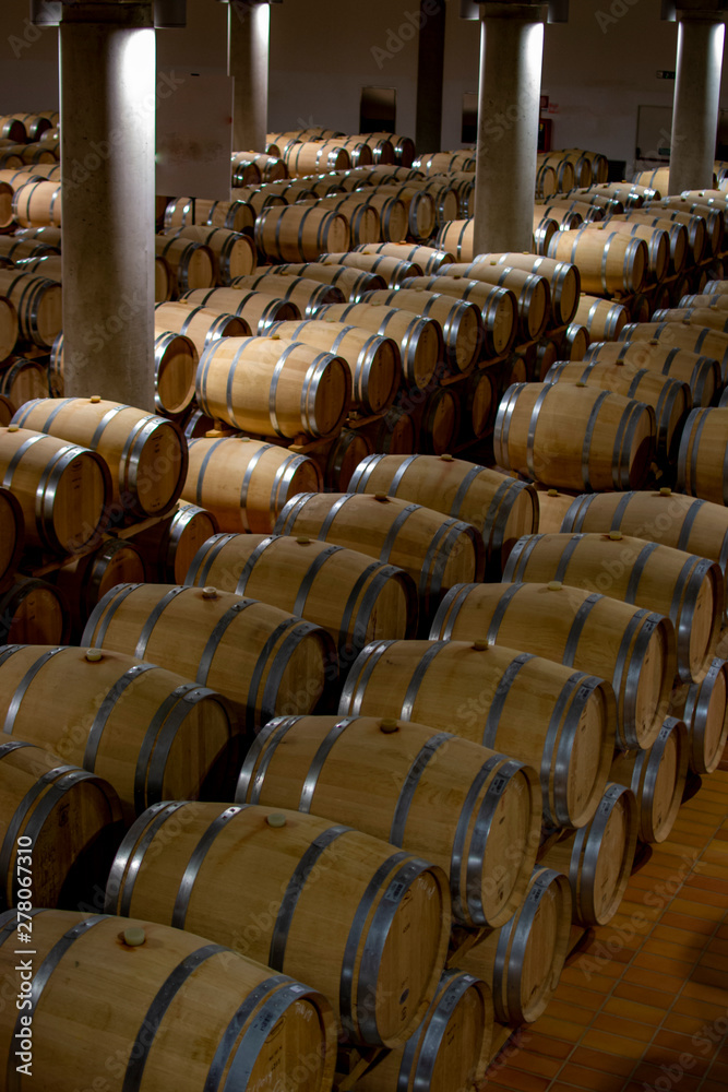 Big wine cellar with old oak barrels, production of red dry or sweet wine in Marsala, Sicily, Italy