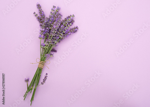 Top view of fresh cut fragrant lavender flowers isolated on purple background with copy space