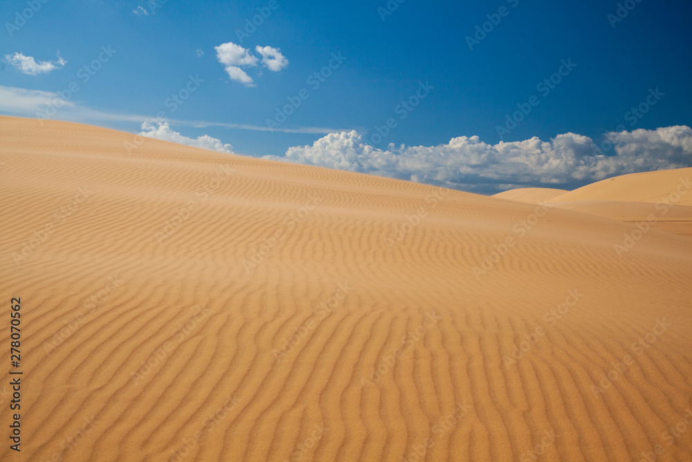 beautiful sand texture of dunes in the Sahara desert