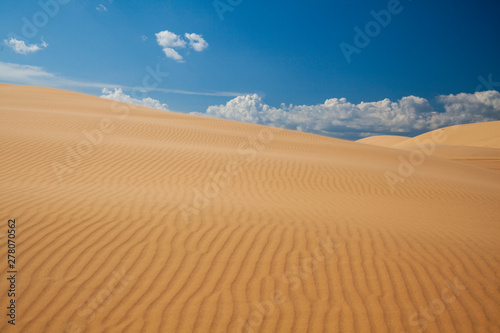 beautiful sand texture of dunes in the Sahara desert