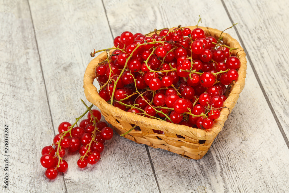 Sweet tasty fresh Red currant Sweet tasty fresh Red currant