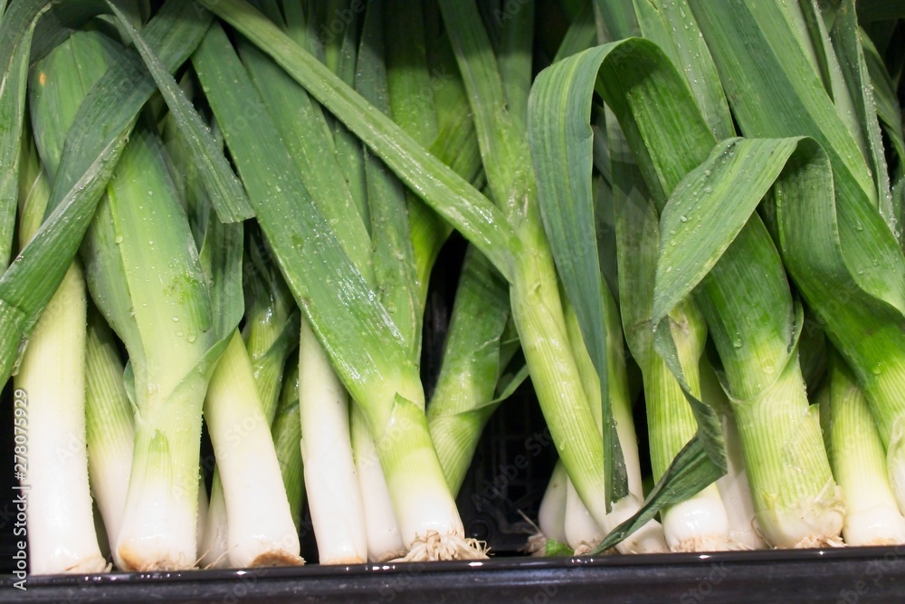 Fresh, healthy Leeks on display Fresh, healthy Leeks on display