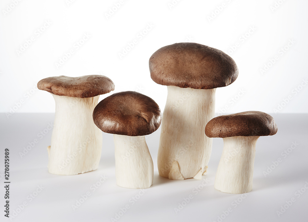 Fototapeta premium Mushroom on white background.