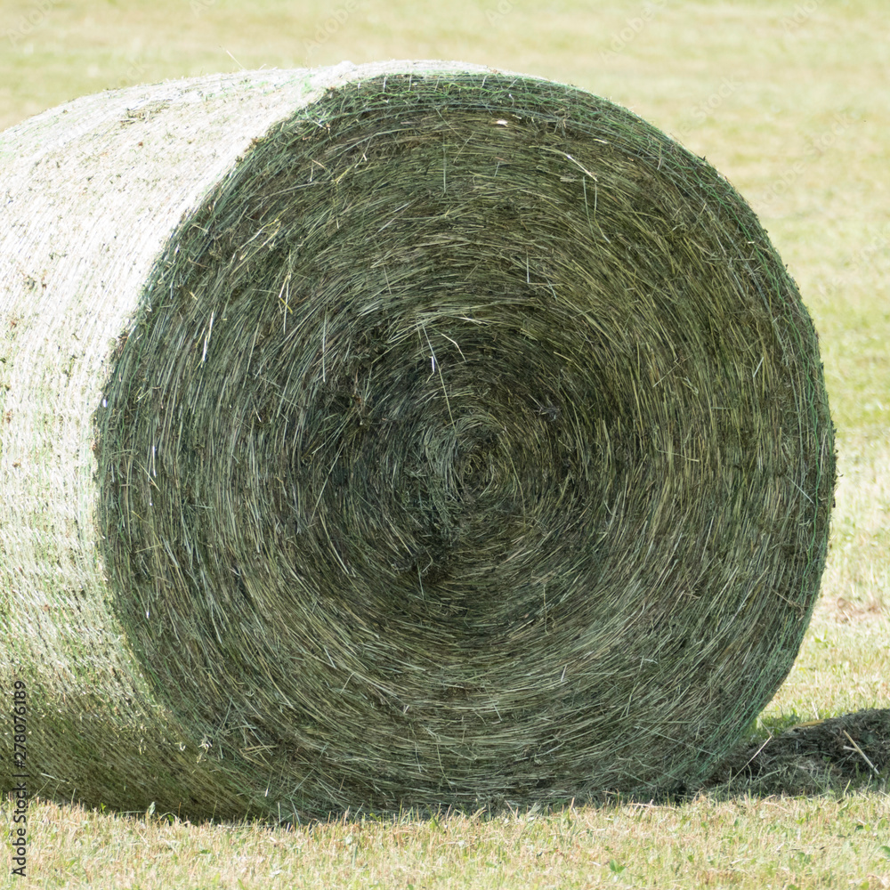 Focusing on the compressed parts of a round silage bale. The bale ...