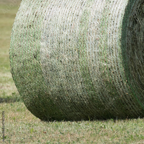 Detail of the green and white colored round bale net around a silage bale. The silage is compressed and bounded by a baler. The image shows the bale without a wrapping foil by a bale wrapper.