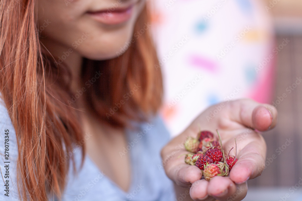 A handful of strawberries from the field close-up in the palm of the girl. Selective focus. The girl can see only part of the face - lips and hair A handful of strawberries from the field close-up in the palm of the girl. Selective focus. The girl can see only part of the face - lips and hair