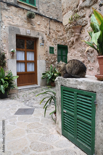 Cat in narrow street in Valldemossa, West Coast, Mallorca, Spain photo