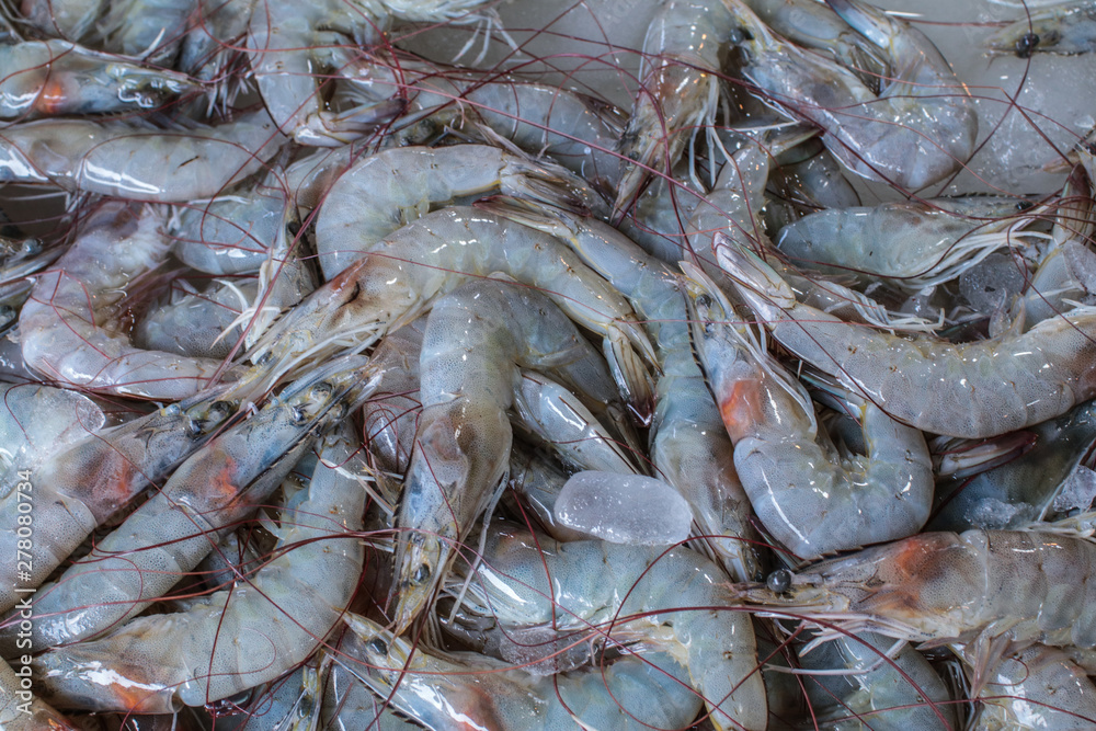 Close up of various kind of raw shrimps in fresh market,Thailand