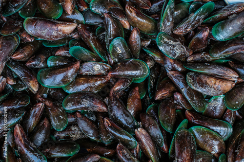 Raw Mussel shell in market, Fresh seafood in Thailand.