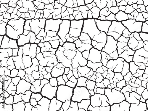 The cracks texture white and black. Vector background.Cracked earth. Structure of cracking. Cracks in dry surface soil texture. shards