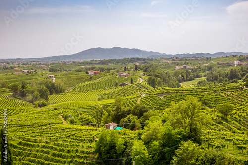 Panorama of vineyard county around Valdobbiadene