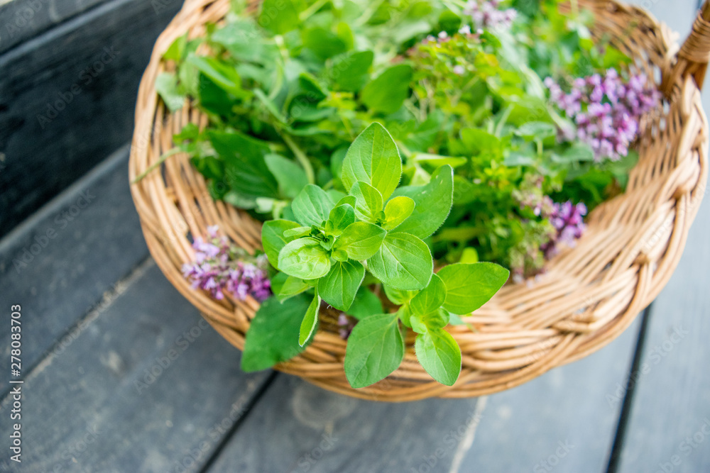 oregano (marjoram) in a wicker basket