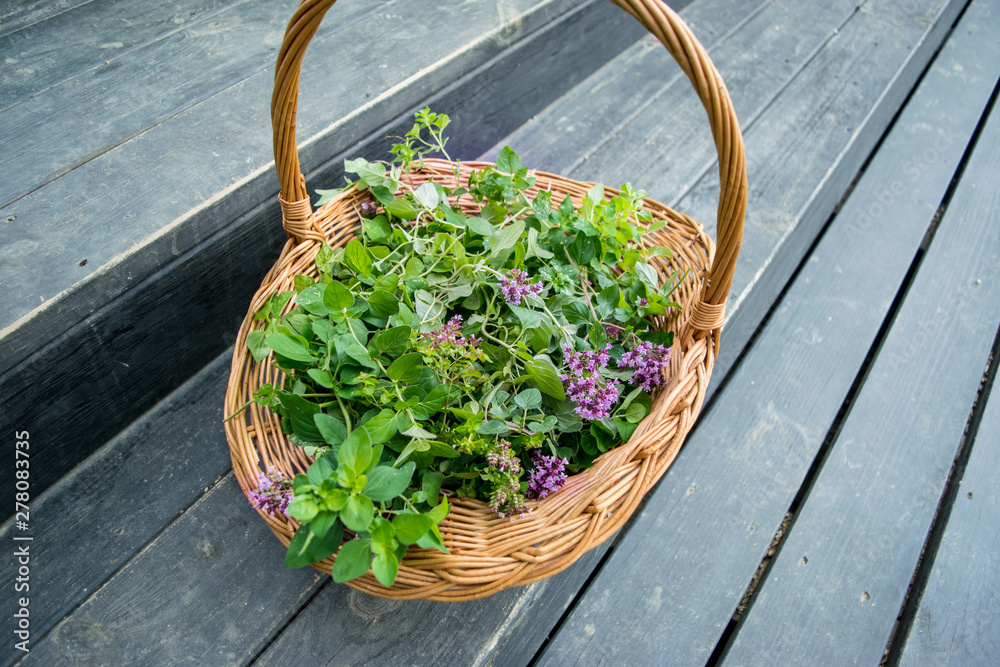 oregano (marjoram) in a wicker basket