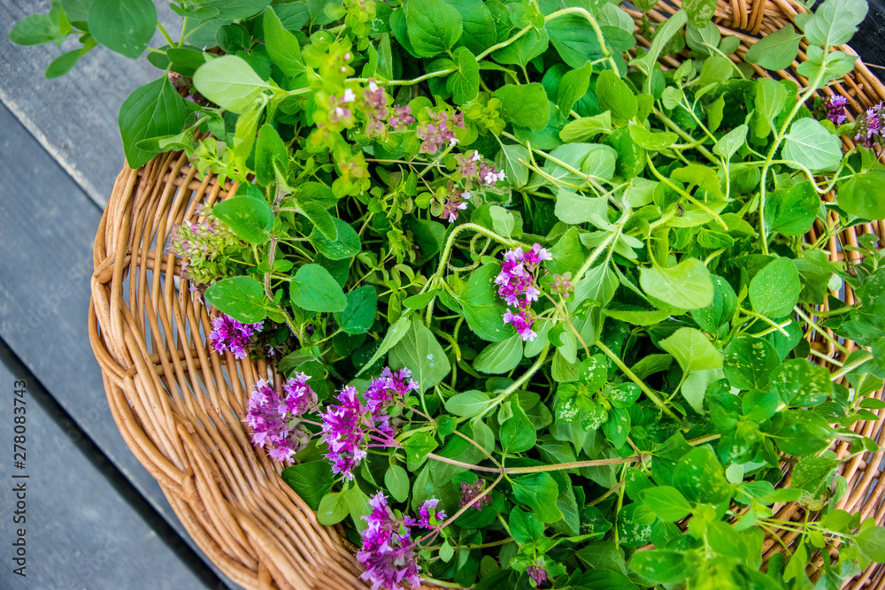 oregano (marjoram) in a wicker basket