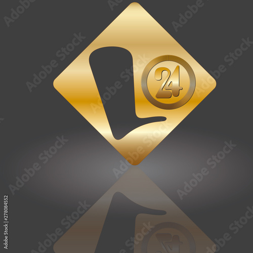L 2_24