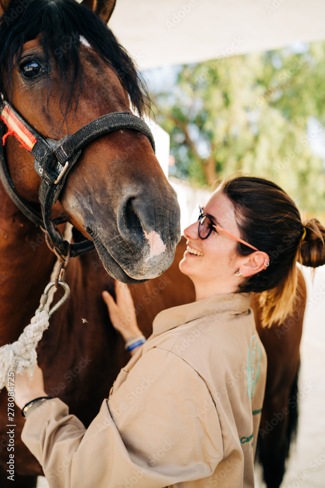 Fototapeta premium Female vet checking horse while standing in stable. Equine physiotherapy.