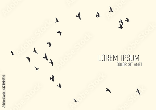 silhouette of a flock of flying birds