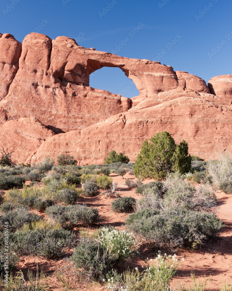 Fototapeta premium Arches Skyline Arch 03