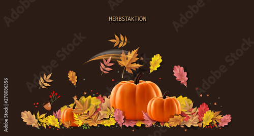 Herbstaktion Banner Hintergrund - Herbst Aktion 
