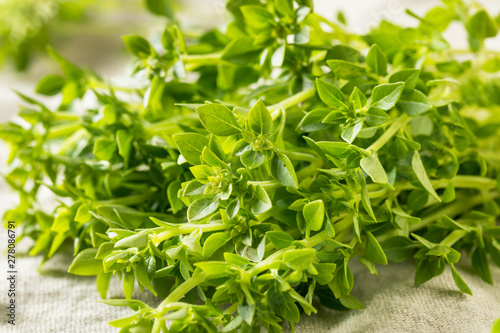 Raw Green Organic Spicy Greek Basil