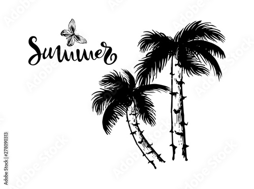Wallpaper Mural Hand drawn vector illustration of coconut palm tree. Isolated on white background. sketch. black white Torontodigital.ca